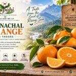 Arunachal Orange
