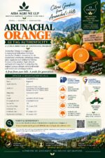 Arunachal Orange - Image 3