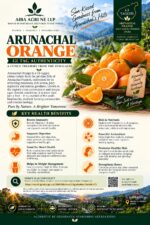 Arunachal Orange - Image 2