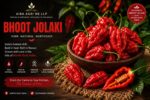Bhut Jolokia Red Chilli (Ghost Pepper)