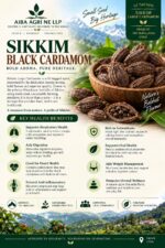 Black Cardamom (Sikkim) - Image 2
