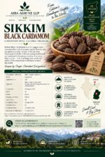 Black Cardamom (Sikkim) - Image 3