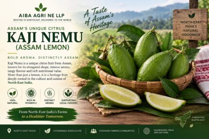 Kaji Nemu (Assam Lemon)