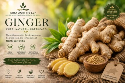 Karbi Anglong Ginger
