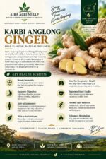 Karbi Anglong Ginger - Image 2