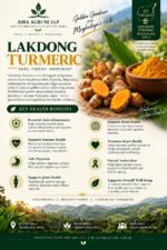 Lakadong Turmeric - Image 2