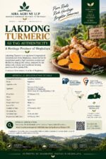 Lakadong Turmeric - Image 3