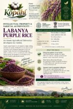 Purple Rice - Image 5