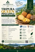 Queen Pineapple (Tripura) - Image 3