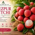 Tezpur Litchi