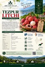 Tezpur Litchi - Image 3