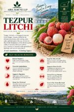 Tezpur Litchi - Image 2